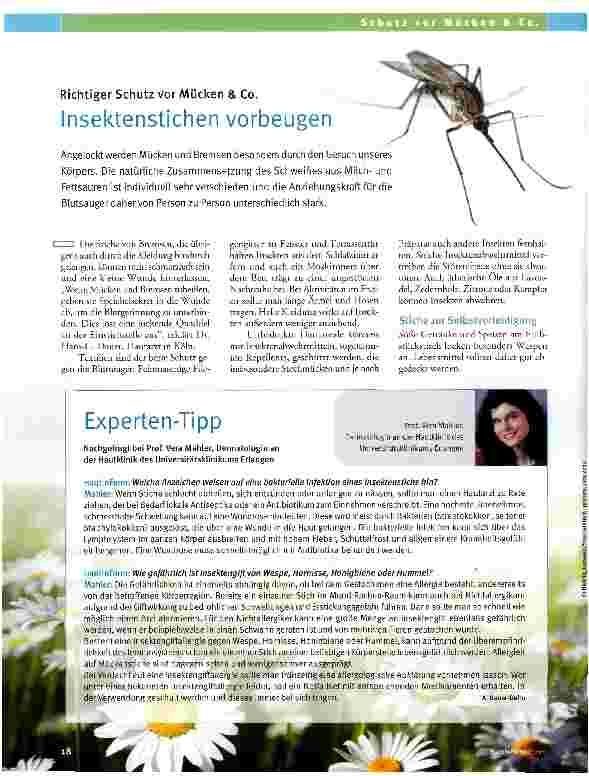Vorschauseite 1: Insektenstichen vorbeugen