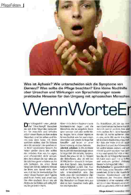 Vorschauseite 1: Wenn Worte Entgleiten