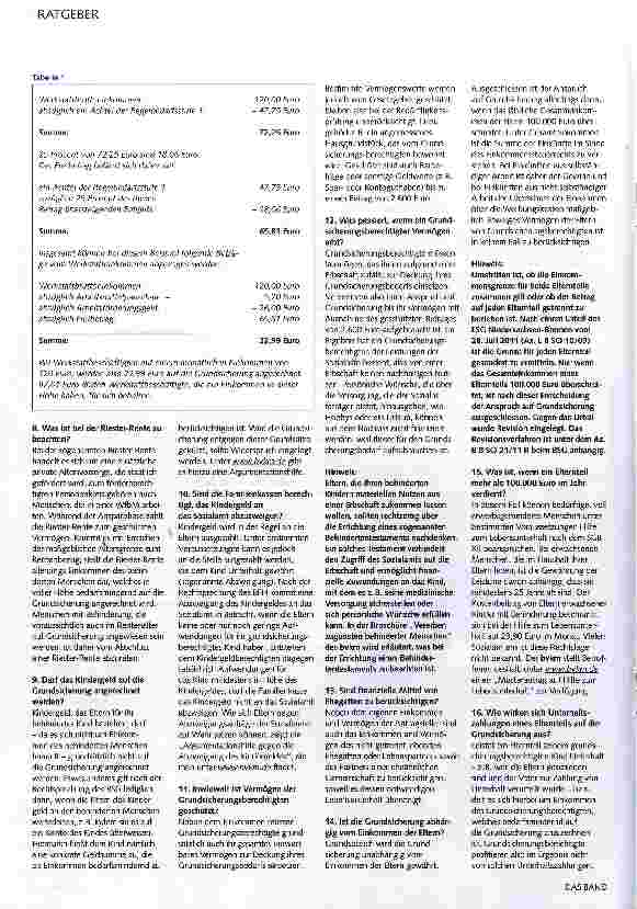 Vorschauseite 2: Grundsicherung im Alter und bei Erwerbsminderung nach dem SGB XII