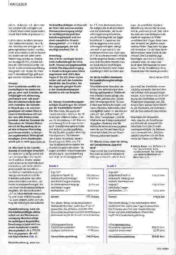 Vorschauseite 4: Grundsicherung im Alter und bei Erwerbsminderung nach dem SGB XII