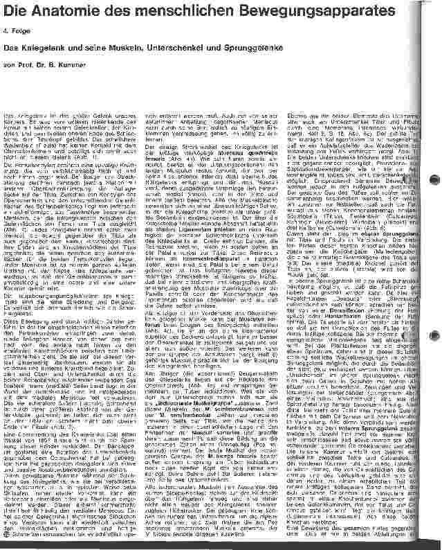 Vorschauseite 1: Die Anatomie des menschlichen Körpers 4. Folge: Das Kniegelenk und seine Muskeln, Unterschenkel und Sprunggelenke
