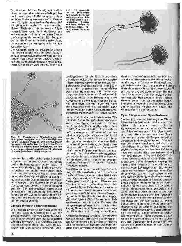 Vorschauseite 4: Arbeitsgebiete der modernen Dermatologie 4. Folge: Pilzerkrankungen der Haut, Schleimhaut u. d. inneren Organe