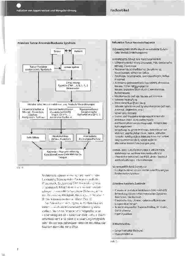 Vorschauseite 2: Palliation von Appetitverlust und Mangelernährung