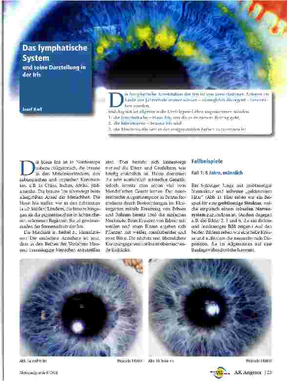 Vorschauseite 1: Das lymphatische System