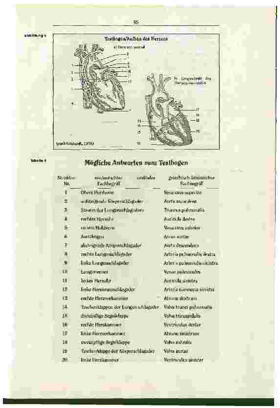 Vorschauseite 4: Berufsbild Altenpflege:Analysen zu Möglichkeiten einer berufsspezifischen Begriffsvermittlung