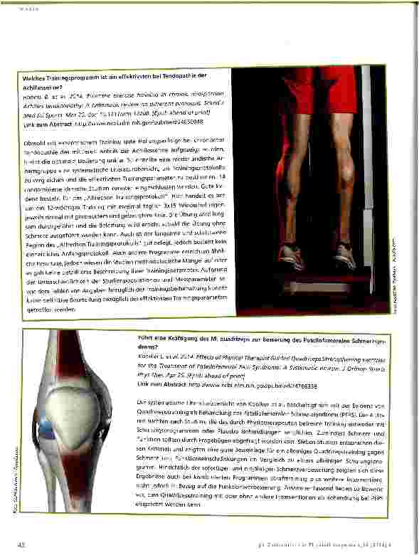 Vorschauseite 4: Evidenz-Update für die Physiotherapie
