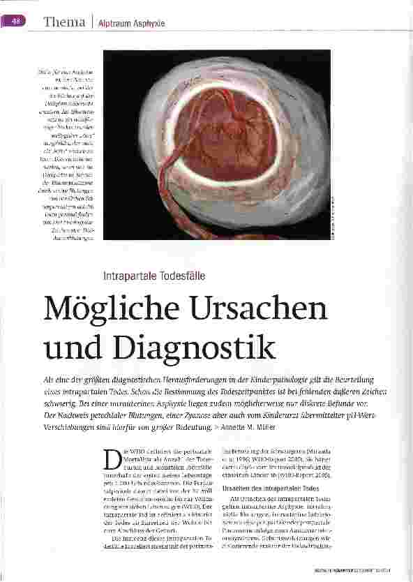 Vorschauseite 1: Mögliche Ursachen und Diagnostik