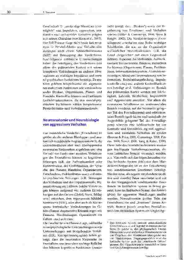 Vorschauseite 2: Aggressives Verhalten als Folge eines Schädelhirntraumas