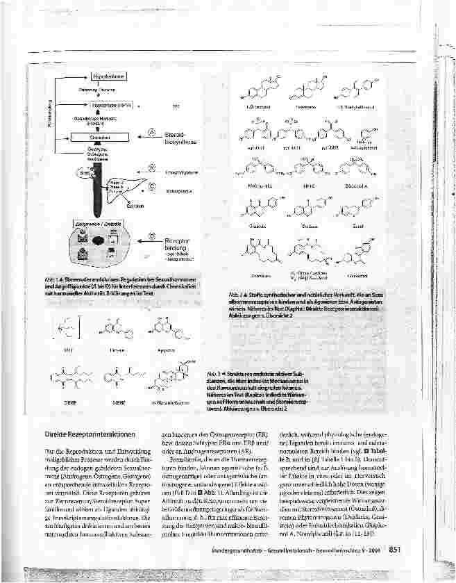 Vorschauseite 4: Endokrine Disruptoren in Lebensmitteln