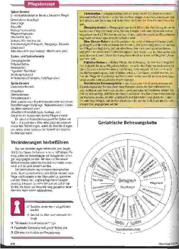 Vorschauseite 3: Pflegenot macht kreativ Ein schweizerisches Konzept zur optimalen Betreuung alter Menschen trotz finanzieller Kürzungen