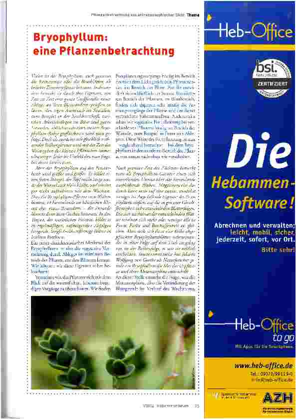 Vorschauseite 6: . .. und ich denke an Bryophyllum