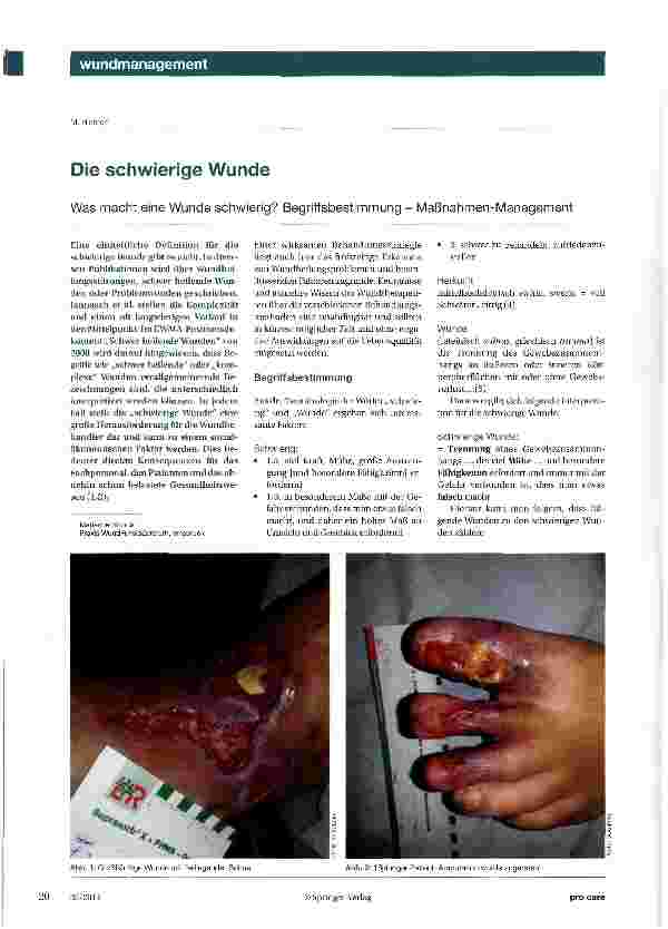 Vorschauseite 1: Die schwierige WundeWas macht eine Wunde schwierig? Begriffsbestimmung - Maßnahmen-Management