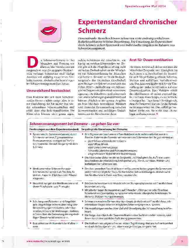 Vorschauseite 1: Expertenstandard chronischer Schmerz