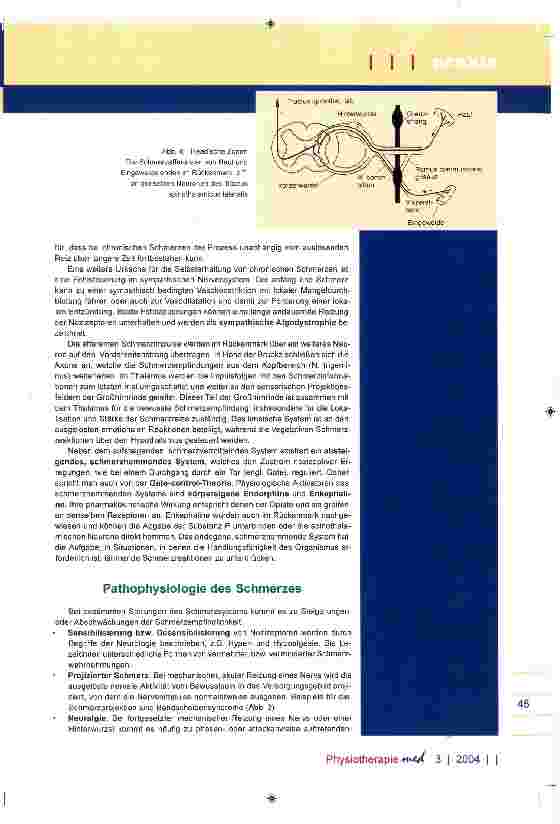 Vorschauseite 4: Ursachen von Schmerz