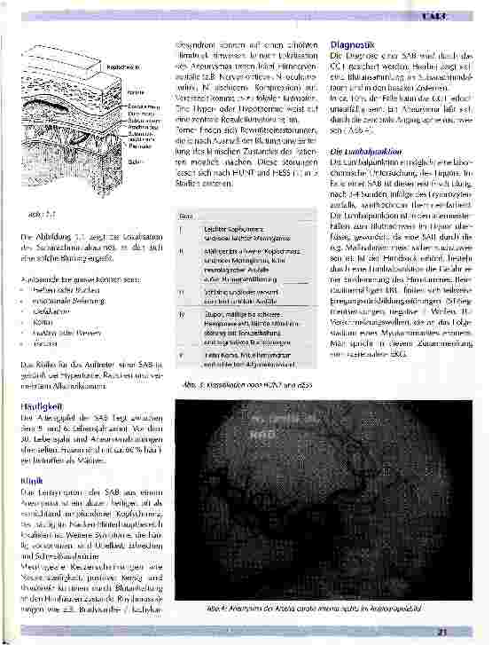 Vorschauseite 2: Patienten mit Hirnarterienaneurysma und ihre Pflege