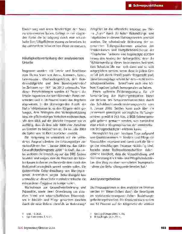 Vorschauseite 2: Schadenereignis „Sturz - Fakten, Konsequenzen und Lösungen