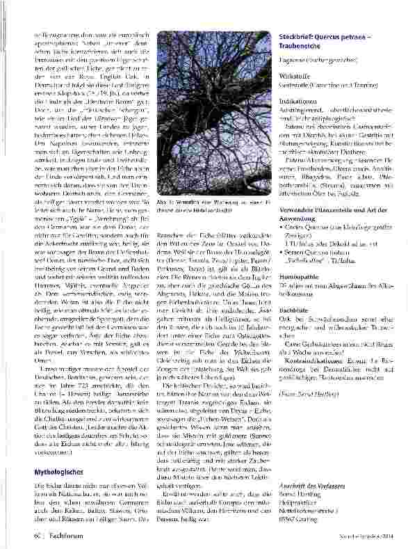 Vorschauseite 5: Die Pflanzen des Jahres 2014