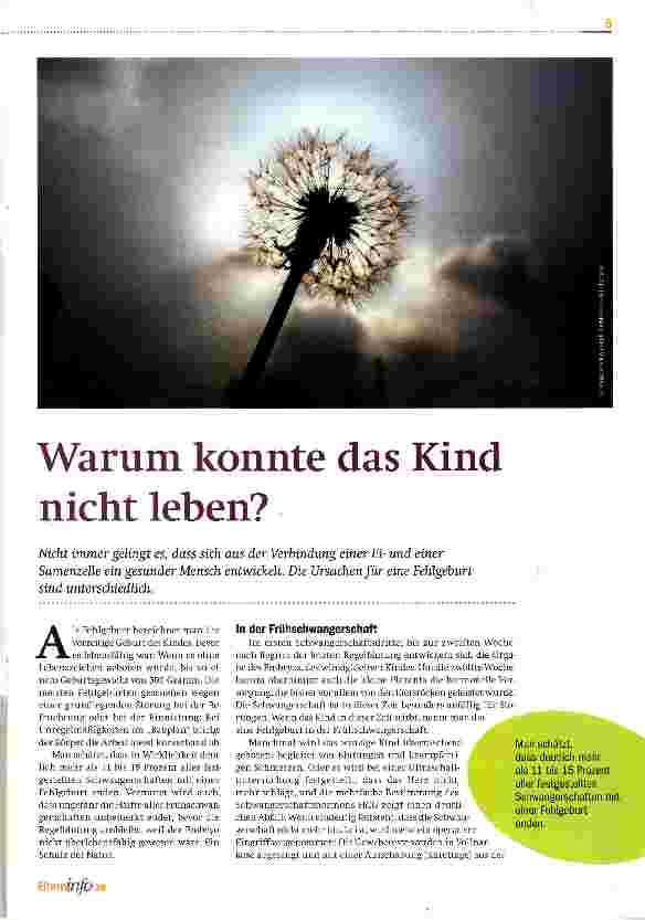 Vorschauseite 1: Warum konnte das Kind nicht leben?