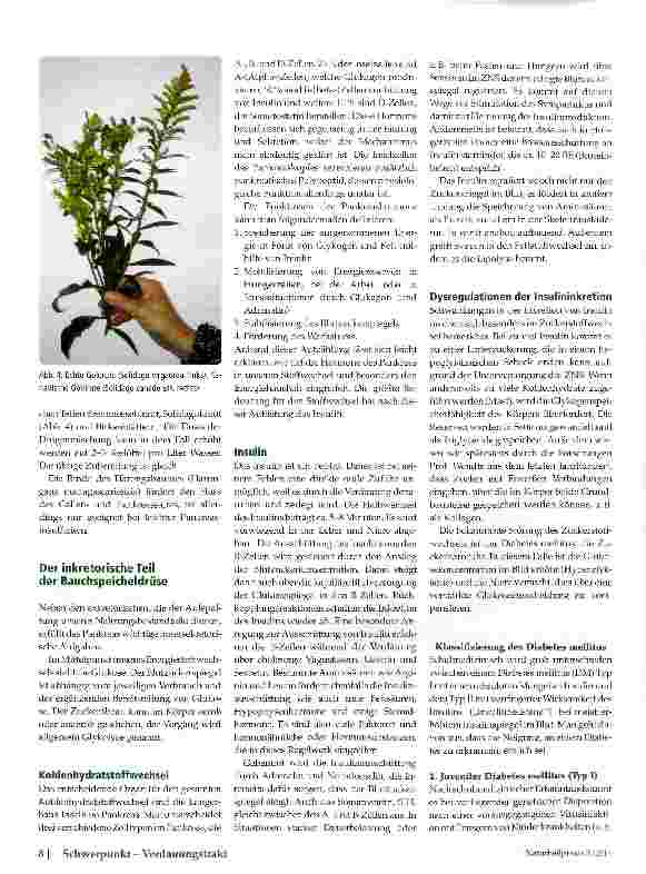 Vorschauseite 4: Pankreas - Mittler zwischen Stoffwechsel und Sinnesorganen