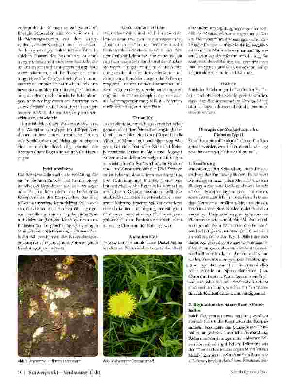 Vorschauseite 6: Pankreas - Mittler zwischen Stoffwechsel und Sinnesorganen