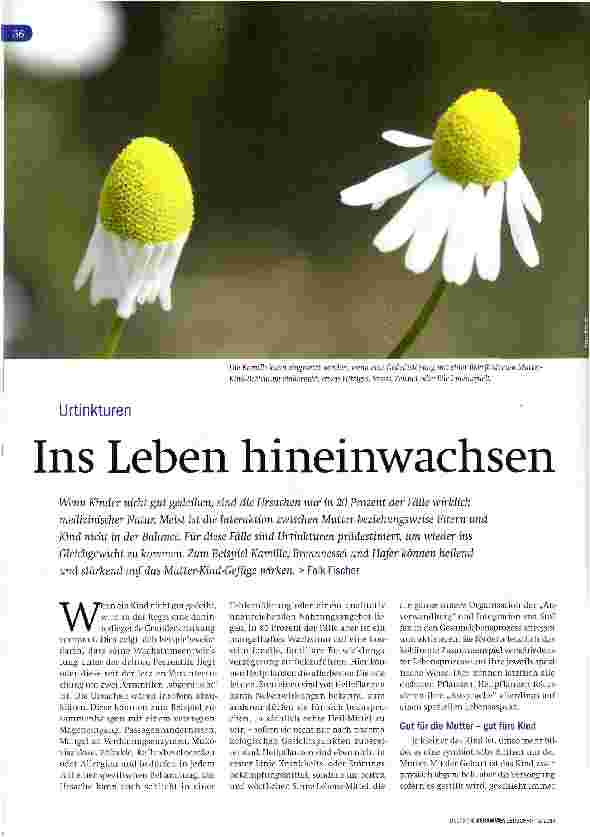 Vorschauseite 1: Urtinkturen - Ins Leben hineinwachsen