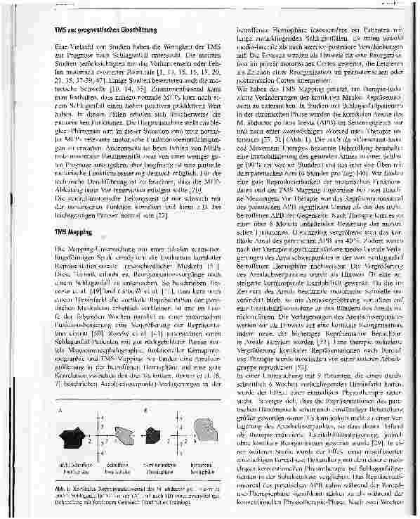 Vorschauseite 2: Bedeutung der TMS für die Rehabilitationsforschung