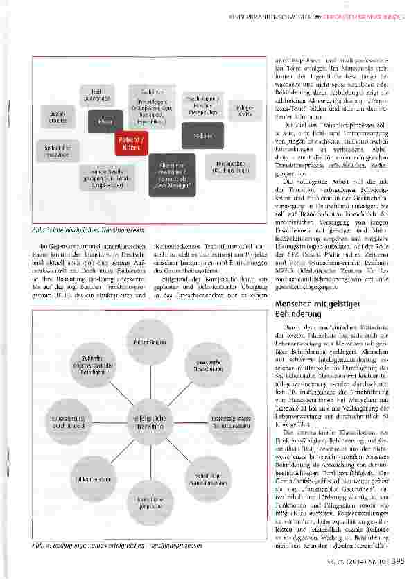 Vorschauseite 2: Transition in der Behindertenhilfe