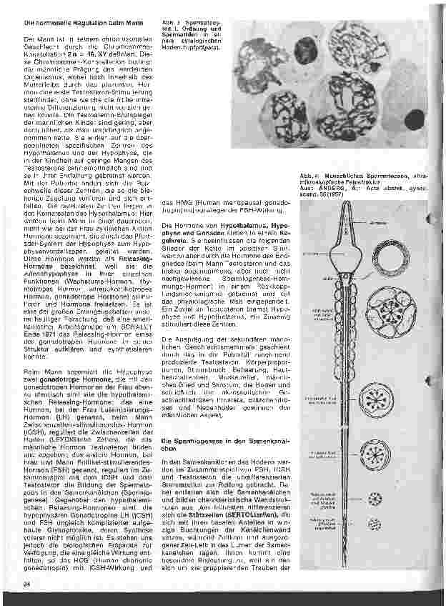 Vorschauseite 2: Arbeitsgebiete der modernen Dermatologie 5. Folge: Grundlagen und Aufgaben der Andrologie