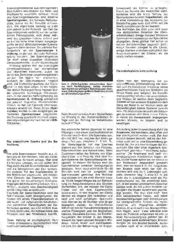Vorschauseite 3: Arbeitsgebiete der modernen Dermatologie 5. Folge: Grundlagen und Aufgaben der Andrologie