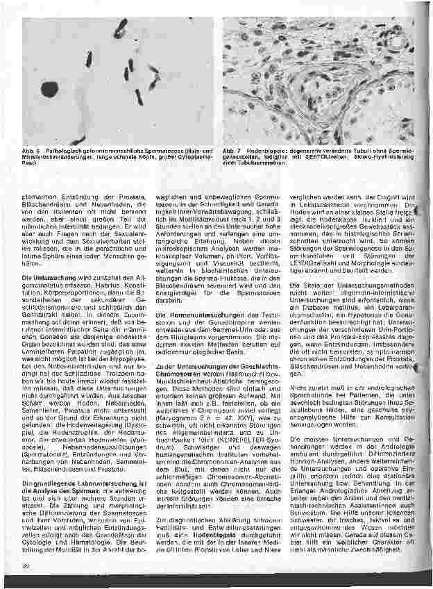 Vorschauseite 4: Arbeitsgebiete der modernen Dermatologie 5. Folge: Grundlagen und Aufgaben der Andrologie