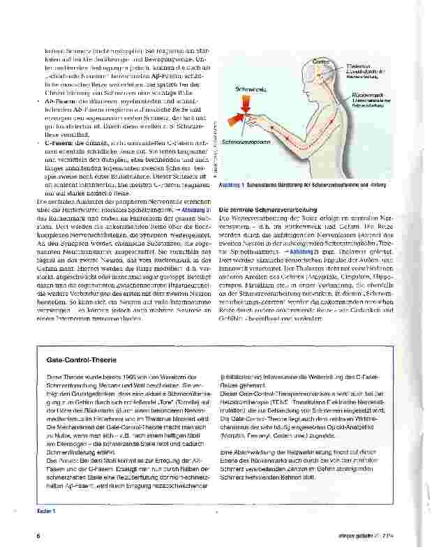 Vorschauseite 3: Vom Reiz zum Schmerz -Schmerzen verstehen