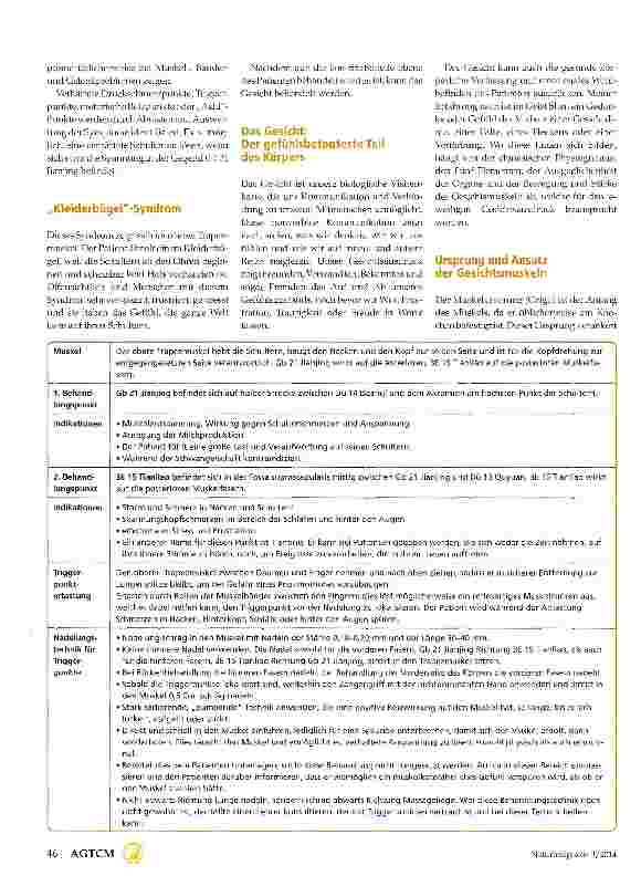 Vorschauseite 3: Konstitutionelle GesichtsakupunkturEin neues Behandlungsprotokoll
