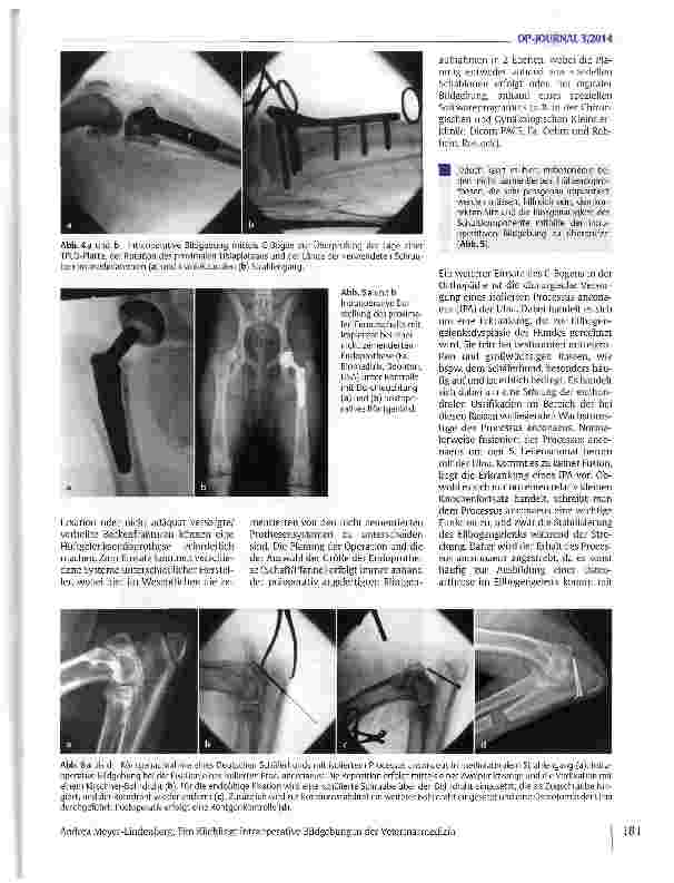 Vorschauseite 4: Intraoperative Bildgebung in der Veterinärmedizin
