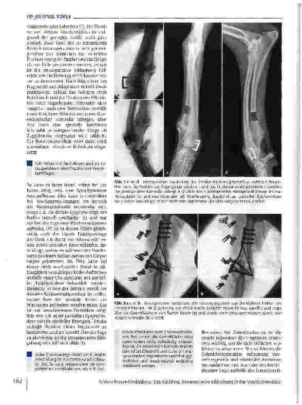 Vorschauseite 5: Intraoperative Bildgebung in der Veterinärmedizin
