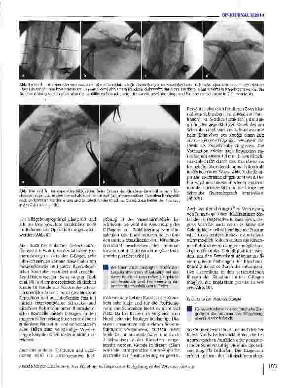 Vorschauseite 6: Intraoperative Bildgebung in der Veterinärmedizin