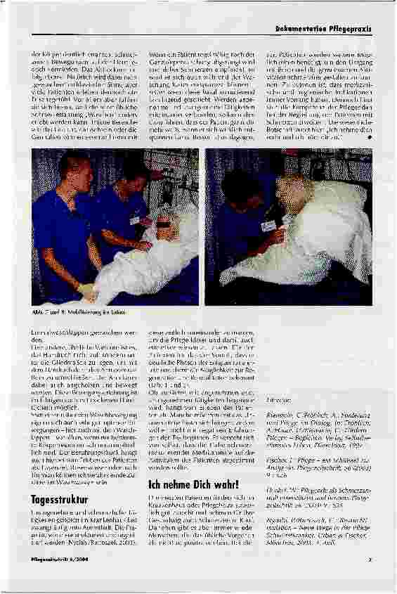 Vorschauseite 6: Basale Stimulation® zur Begleitung von Schmerzpatienten