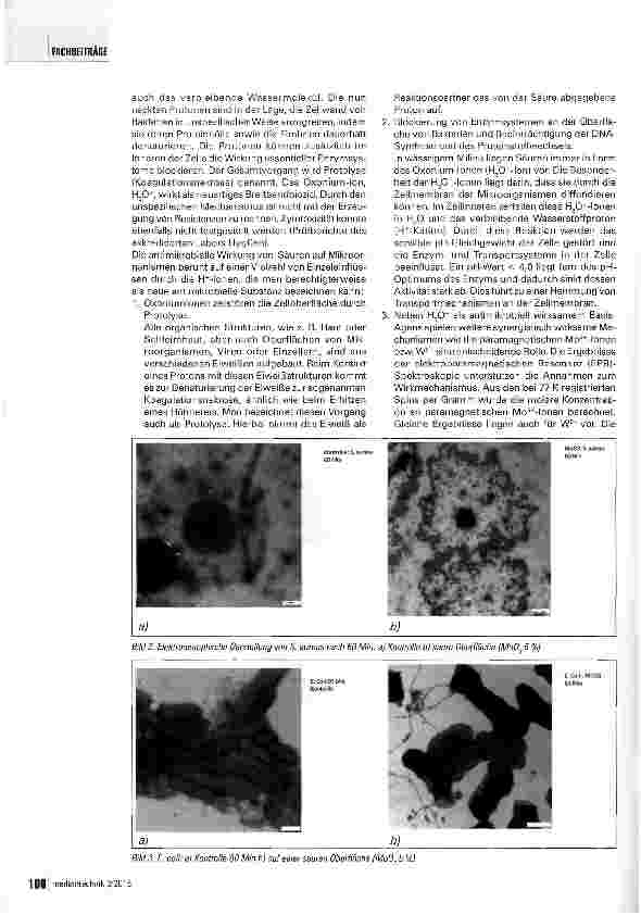Vorschauseite 3: Genuin keimarme/keimfreie Oberflächen zur Verhinderung nosokomialer Infektionen