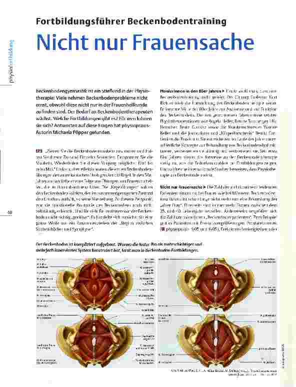 Vorschauseite 1: Fortbildungsführer Beckenbodentraining Nicht nur Frauensache