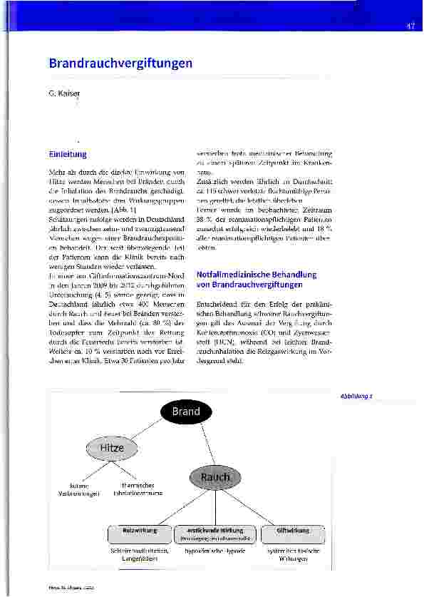 Vorschauseite 1: Brandrauchvergiftungen