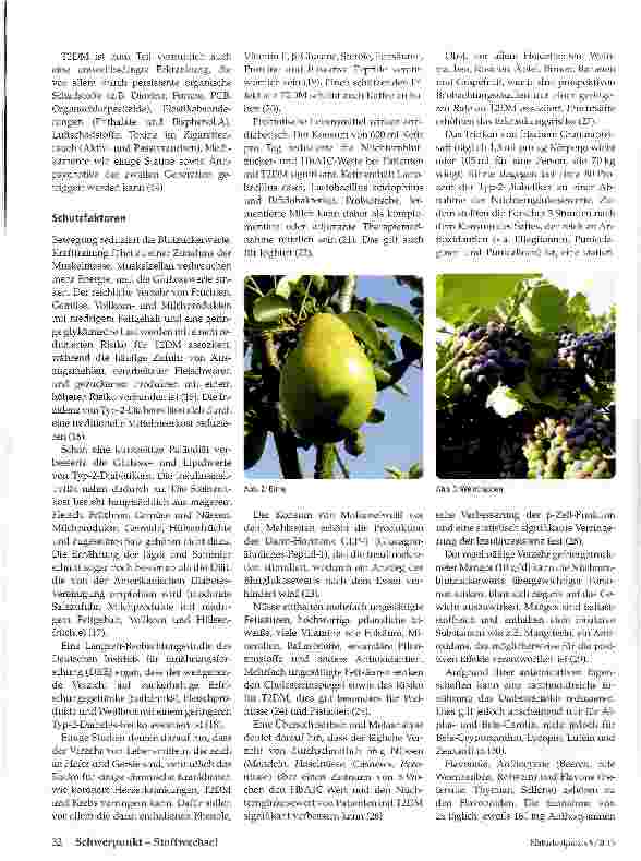 Vorschauseite 3: Diabetes mellitus Typ2