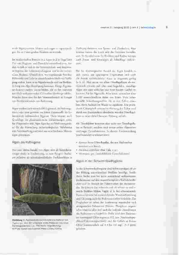 Vorschauseite 3: Algen Newconner in der Humanhygiene?