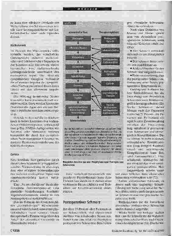 Vorschauseite 4: Prophylaxe chronischer Schmerzen