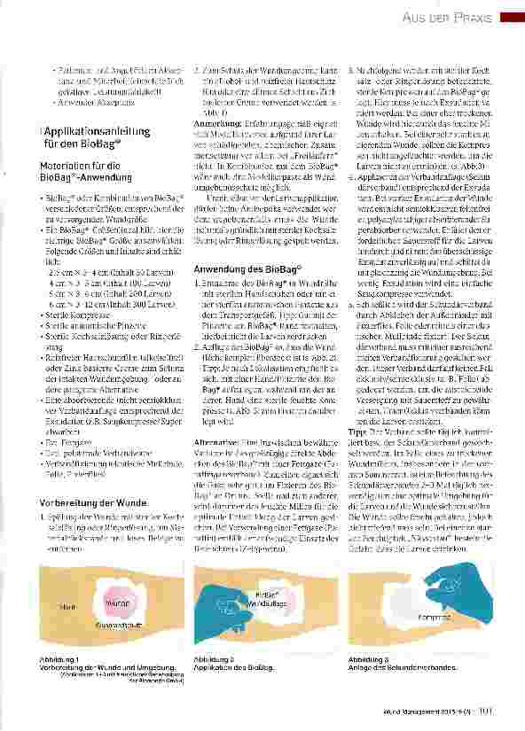 Vorschauseite 2: Anleitung zur Applikation von medizinischen Larven (Lucilia sericatä) bei der Behandlung chronischer Wunden