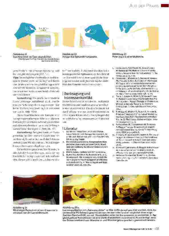Vorschauseite 6: Anleitung zur Applikation von medizinischen Larven (Lucilia sericatä) bei der Behandlung chronischer Wunden