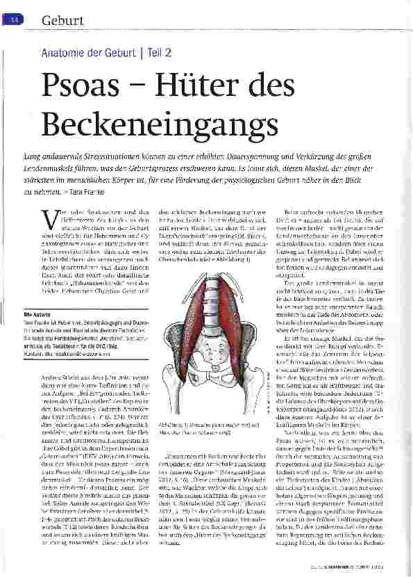 Vorschauseite 1: Anatomie der Geburt Teil 2 Psoas - Hüter des Beckeneingangs
