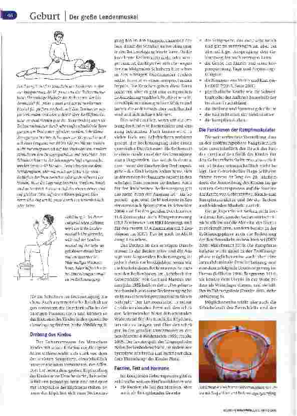 Vorschauseite 3: Anatomie der Geburt Teil 2 Psoas - Hüter des Beckeneingangs