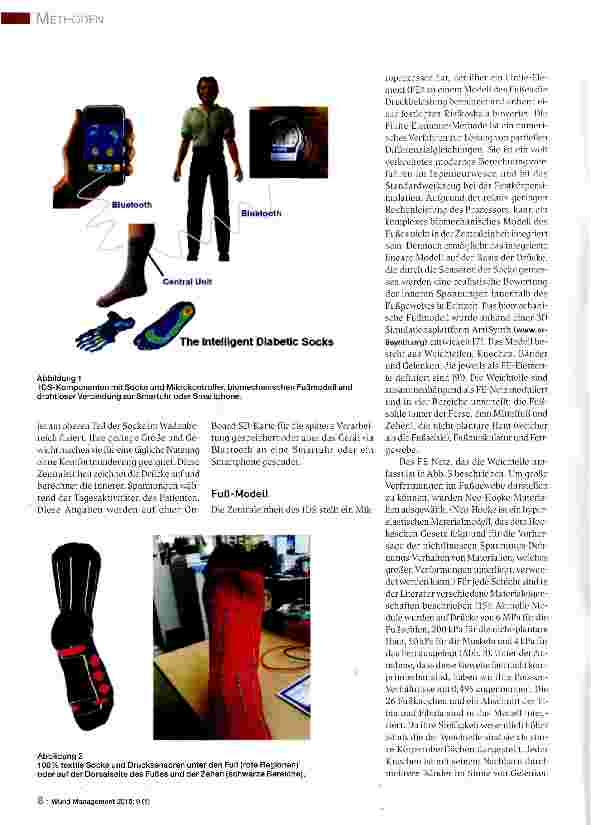 Vorschauseite 3: Prävention von Druckläsionen am Fuß: Projekt „Intelligente Diabetische Socken (IDS)