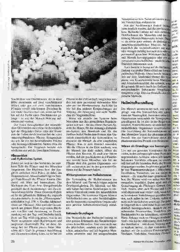 Vorschauseite 3: Mehr als nur das Physische Anthroposophische Heilmittelfindung und -herstellung