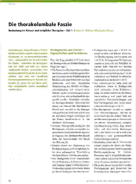 Vorschauseite 1: Die thorakolumbale Faszie Bedeutung im Körper und mögliche Therapien - Teil 1