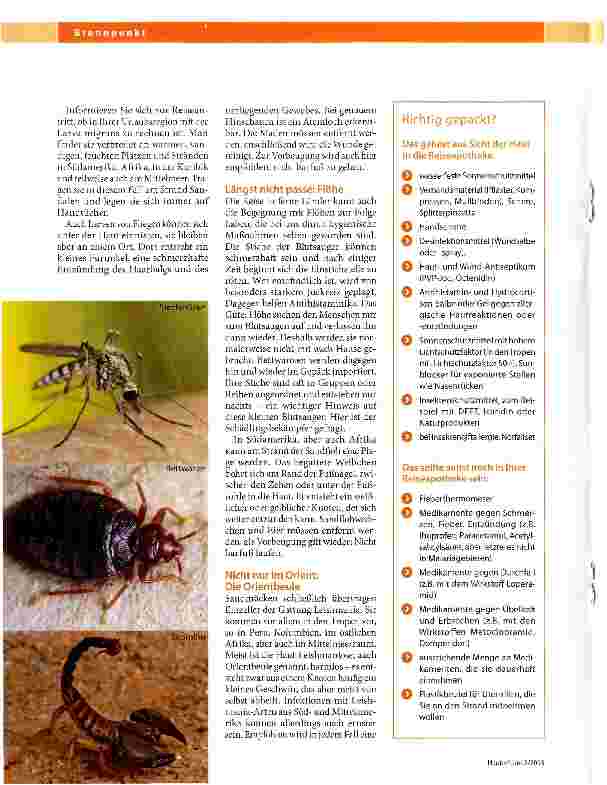 Vorschauseite 3: Tropische Grüße bis unter die Haut